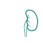 Kidney Cancer Ayurvedic Treatment