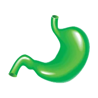 Stomach Cancer Ayurvedic Treatment